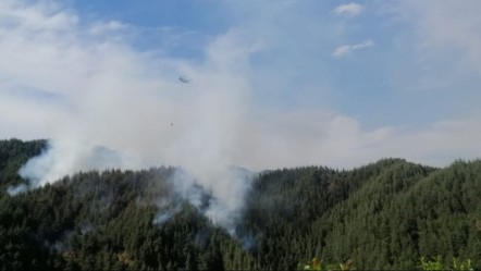 5 helikopter ve 110 personelle müdahale sürüyor! - Gündem