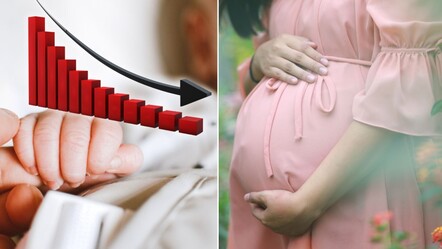 Doğurganlıkta dibi gördük... Aile Bakanı Göktaş: Tarihimizin en düşük seviyesi! - gundem