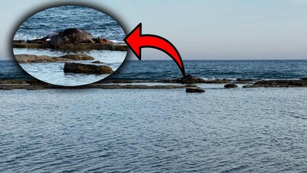 Antalya'da korkunç manzara! Sahildeki kötü kokunun nedeni bakın ne çıktı - Gündem