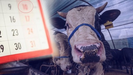 Kurban Bayramı tatili kaç gün? Merak edilen soru cevap buldu - Gündem