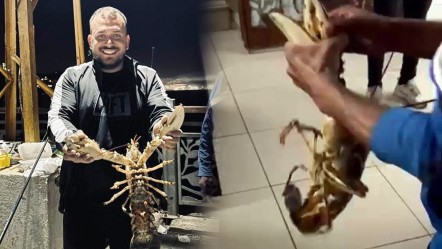 Şimdiye kadar yakalananların en büyüğü! Bulan da gören de şaşkın - Yaşam