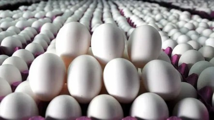 Yükselirken füze, ucuzlarken kağnı! Yumurta üreticide ucuzladı marketler hâlâ direniyor - Ekonomi