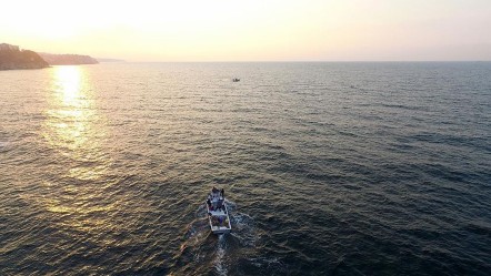 Karadeniz alarm veriyor! Balık stokları azaldı, iki sebebi var... - Yaşam