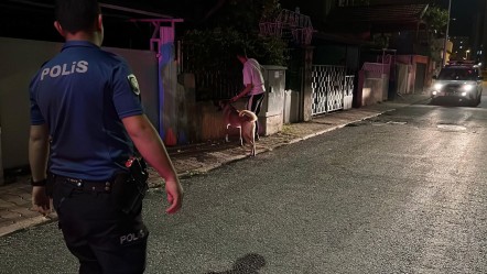 Kayseri'de sahipli köpeğin saldırdığı çocuk hastanelik oldu - 3. Sayfa