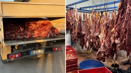 Tonlarca bozulmuş at eti ele geçirildi! Hepsini vatandaşa yedireceklerdi - Gündem