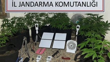 Üniversite öğrencisinin "akıllı tarım" tuzağı! Uzaktan kontrolle zehir yetiştirmiş - 3. Sayfa