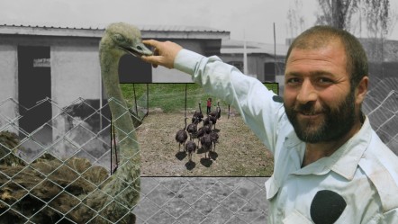 Babasının hayalinin peşinden giderek Sivas'ta bir ilki gerçekleştirdi! Gören şaşırıyor, o üretmeye devam ediyor - Yaşam