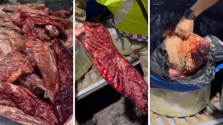 Siyah poşetlerin içinden tek tek çıkardılar... Vatandaşlara yedireceklerdi, jandarma bile şaşkına döndü - Gündem