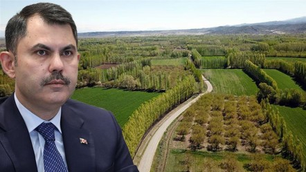 5 milyon kişiye 2B müjdesi gelmişti! Bakanlık duyurdu: 6 soruda mülkiyet hakları ve tapu süreci - Gündem