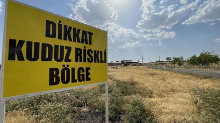 Bir kentimizde alarm! Mahalleler kuduz karantinasına alındı - Yaşam