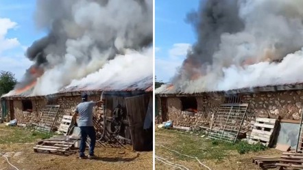 Fareler kabloları kemirdi, çıkan yangın ahırı kül etti! Hayvanları son anda kurtardılar - Gündem