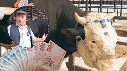 1,2 tonluk ağırlığıyla kaç TL'ye satılacağı merak ediliyordu... Kurban pazarının gözdesi bu fiyata gitti - Ekonomi