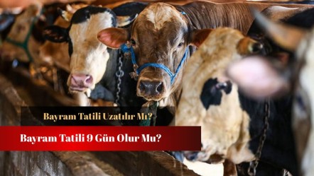 Kurban Bayramı tatili uzatılır mı? Son dakika bayram tatili kararı bekleniyor - Haberler