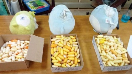 Önce şekerlemelerden, şimdi de peluş oyuncaklardan çıktı! 'En yüksek miktar' olarak kayıtlara geçti - Dünya
