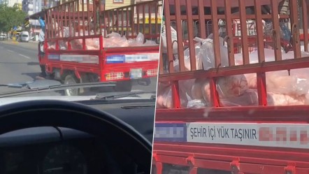 Siverek'te Kurban Bayramı öncesi tepki çeken görüntü! İşte o anlar... - Gündem