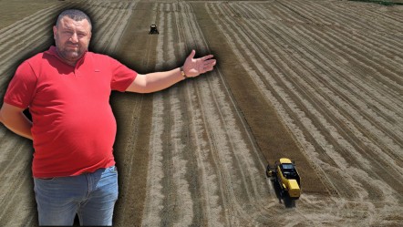 Son 30 yılın en büyük kuraklığı! Üretici kara kara düşünüyor, verim yarı yarıya düştü - Ekonomi