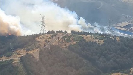 İzmir'de orman yangını! Karadan ve havadan müdahale sürüyor - Yaşam