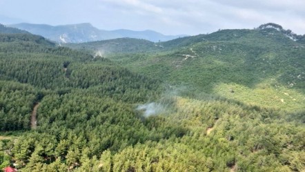 Osmaniye'de orman yangınlarına kökten tedbir! Girişler yasaklandı - Haberler