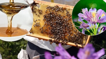 500 yıllık sistemle 4 yılda bir üretiliyor! Azı şifa, fazlası tehlikeli: