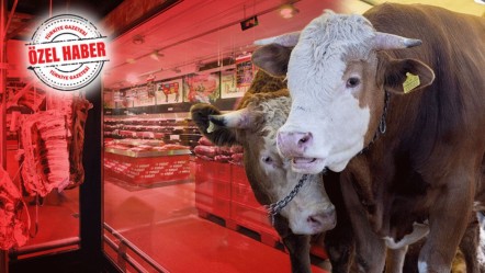 Marketler Kurban değil, et satıyor! Bayram öncesi önemli soru gündemde: Kurbanlık nerden alınmalı? - Gündem