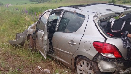 Tokat'ta otomobil tarlaya devrildi: Yaralılar var - 3. Sayfa