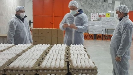 Yumurtaya sıkı denetim! Bakanlık harekete geçti, 84 bin numune incelendi - Ekonomi