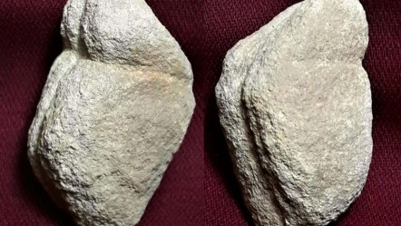 Anadolu’nun en eski taş heykelcikleri mi? 15 bin 800 yıllık figürinler keşfedildi - KÜLTÜR - SANAT
