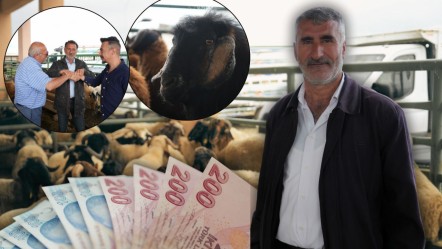 'Bayramı beklemesinler' diyerek uyardı! "Maliyet arttı ama fiyat düşük": 10 bin TL'yi 8 bin TL'ye indirmek istiyorlar - Ekonomi