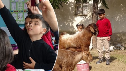 Boş vaktinde çobanlık yapan Emir Ali sınavdan 500 tam puan aldı, babası 'Bu dereceyi zaten bekliyordum' dedi - Eğitim