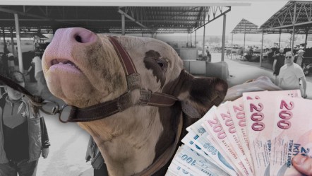 Kurban pazarında rekor fiyat geldi! Pazarın gözdesiydi, fiyatı dudak uçuklattı - Ekonomi