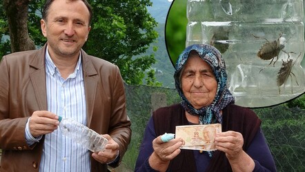 Kahverengi kokarcanın başına ödül koydu, getirene paraları verdi - yasam