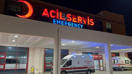 Ay sonu düğünü olacaktı! Kenenin ısırdığı genç hayatını kaybetti - Gündem