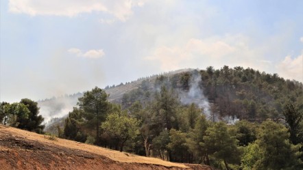 Bir kentte daha ormanlık alanlara girişler 31 Ekim'e kadar yasaklandı - Gündem