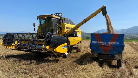 Hasat bu yıl geç başladı! Çiftçi fiyat konusunda sıkıntılı - Ekonomi