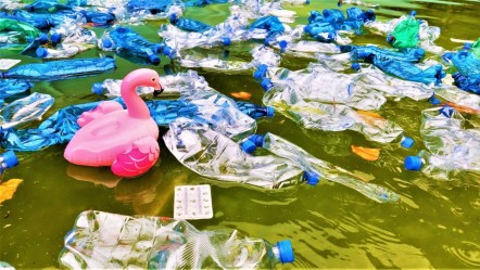 Plastik zehirlenmesi yaşıyoruz! 500 yıl toprakta erimiyor - Sağlık