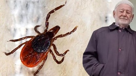 Sivas'ta kene kabusu! 10 gündür mücadele ediyordu: Bir kişi daha hayatını kaybetti - Gündem