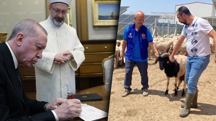 27.500 TL ödemişti! Cumhurbaşkanı Erdoğan'ın bağışladığı kurbanlar kesildi - Gündem