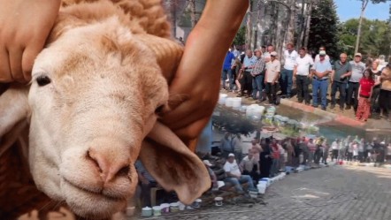 Kurban Bayramı'nda asırlık gelenek! Bu köyde kurban eti girmeyen ev yok - 3. Sayfa
