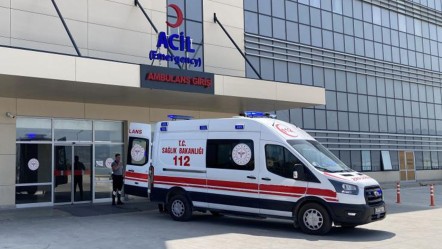 Kurban kesiminde kaza! Büyükbaş hayvan üzerine devrildi, yoğun bakımda - 3. Sayfa