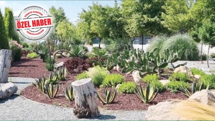 ‘Estetik’ yerine ‘kurakçıl’ peyzaj! Suda yüzde 80 tasarruf mümkün - Ekonomi
