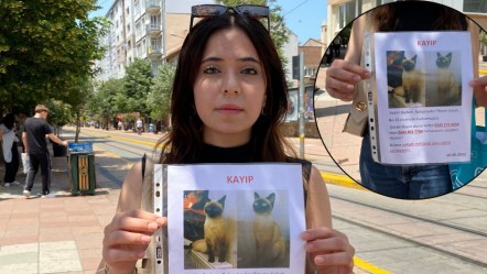 Herkes bayram sevinci yaşarken o sokak sokak 'Badem'i arıyor... "O benim her şeyim" - Yaşam
