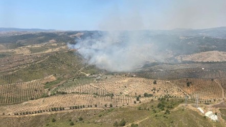 İzmir'de ormanlık alanda yangın! Havadan ve karadan müdahale başladı - Gündem