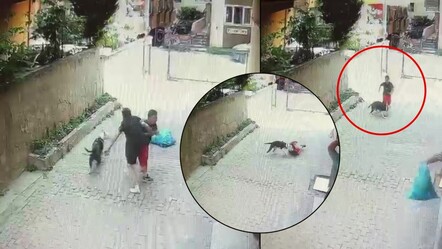 Sokakta oynarken pitbull saldırdı! Ataşehir'deki korkunç olayın görüntüleri ortaya çıktı - 3-sayfa