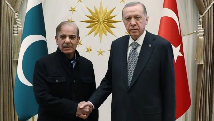 Cumhurbaşkanı Erdoğan, Pakistan Başbakanı Şerif ile görüştü - Gündem