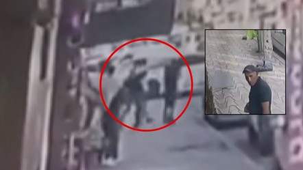Ortaya atılan iddiayla 4 kişiden dayak yedi! Olayın aslı kameralardan anlaşıldı, 'kediye şiddet uyguladı' iddiası boşa çıktı - 3. Sayfa