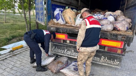 Van'da yakalandı! Çuvaldan çıkanları gören ekipler neye uğradığını şaşırdı: Hepsi ölüydü... - Gündem