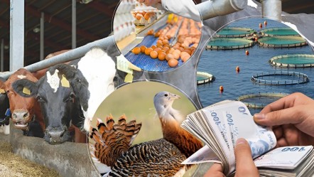 70 milyon avroluk yatırım! 81 ili kapsıyor, faydalananların sayısı artıyor... - Ekonomi