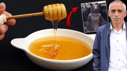 Filmlere konu olan 'deli bal'dan kaşık kaşık yedi, ölümden döndü! Kendine gelmesi saatler sürdü: Bu acil bir durum - yasam