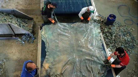 Kurban'da yine israf edildi: Milyarlarca liralık milli servet boşa gidiyor - gundem