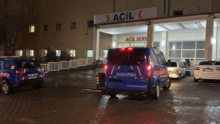 Şanlıurfa'da hayvan otlatma kavgasında 11 kişi yaralandı! - 3. Sayfa